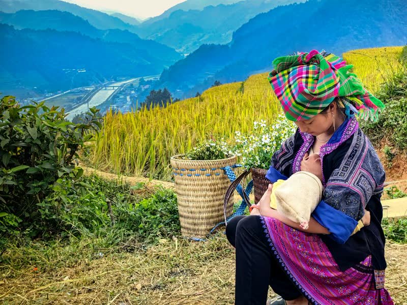 Mẹ Việt cho con bú
